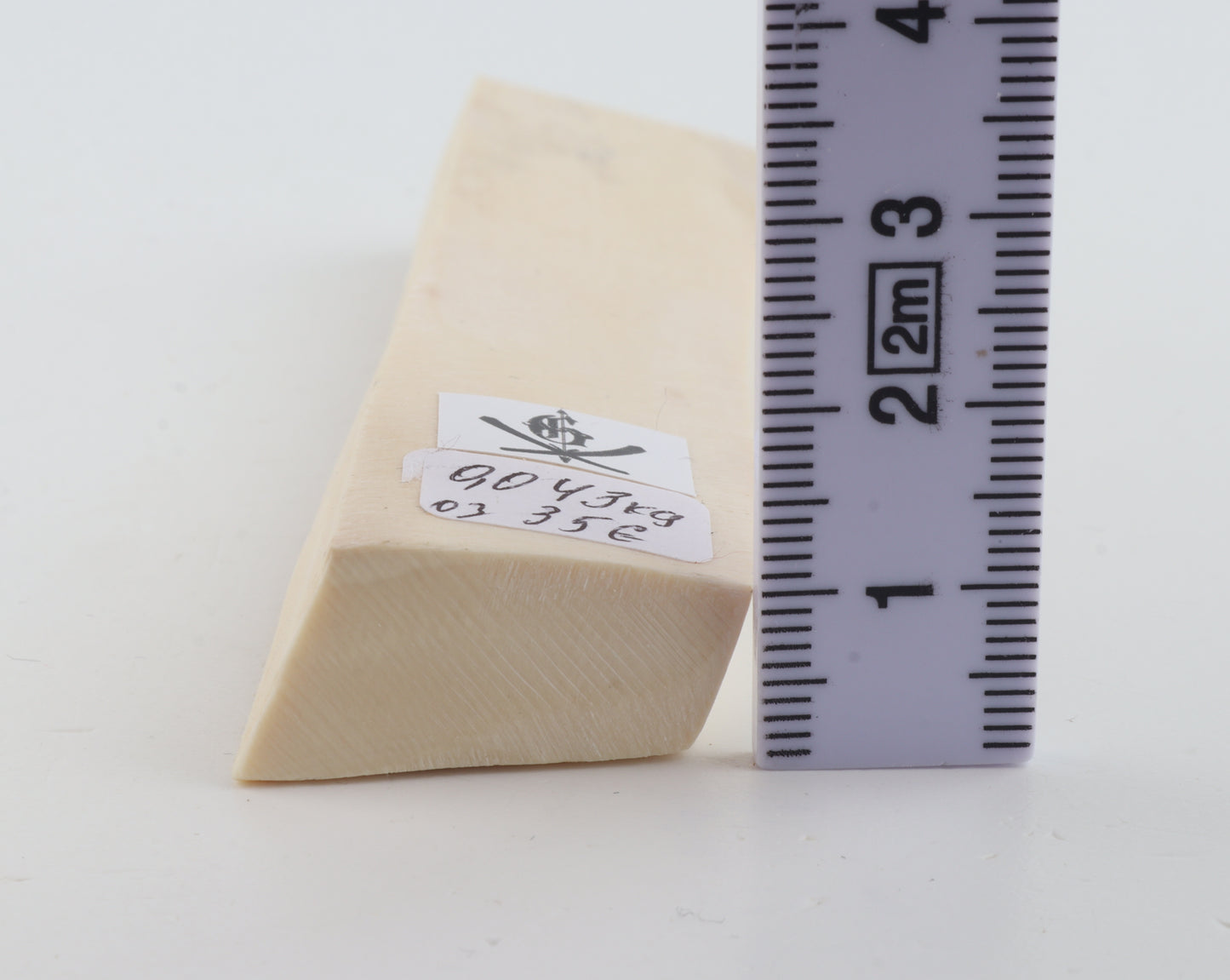 White mammoth ivory segment