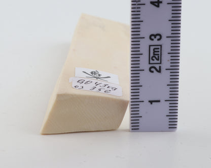 White mammoth ivory segment