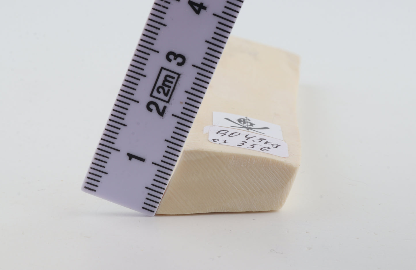 White mammoth ivory segment