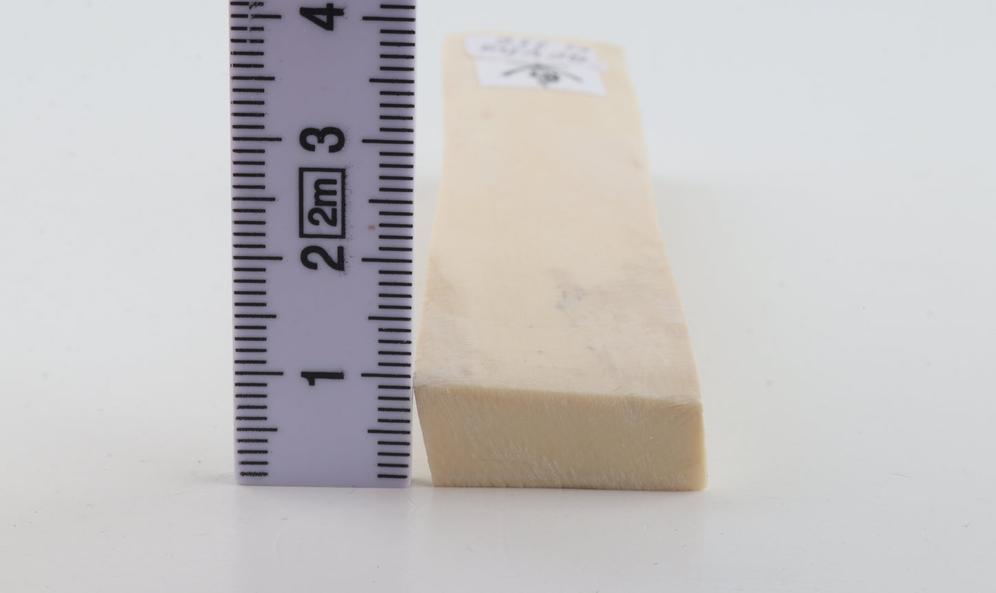White mammoth ivory segment