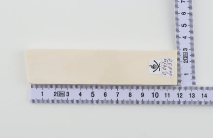 White mammoth ivory segment