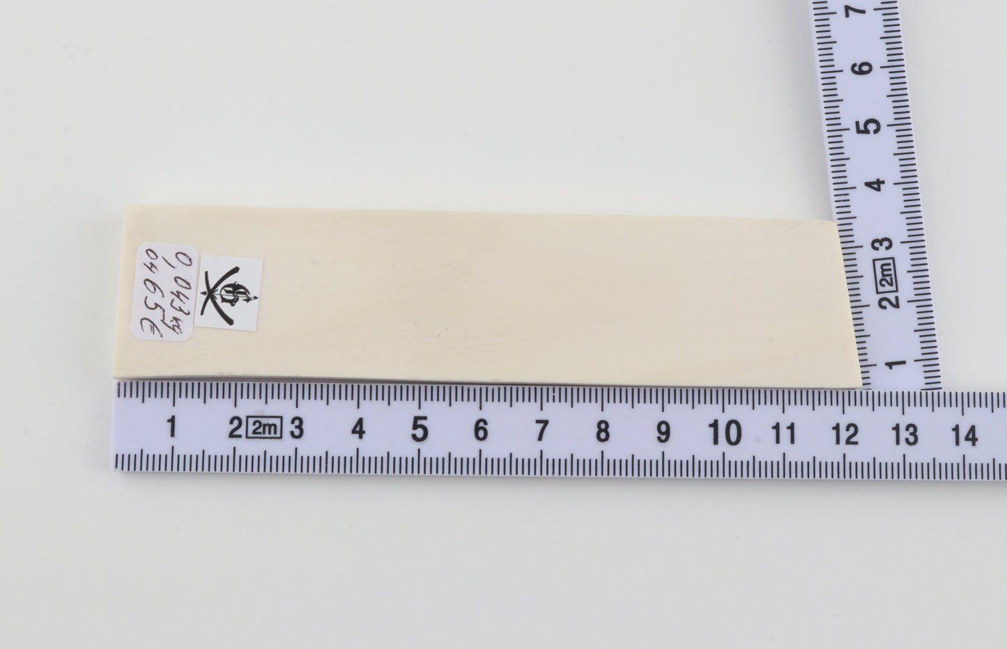 White mammoth ivory segment