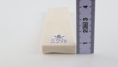 White mammoth ivory segment