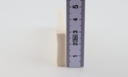 White mammoth ivory segment
