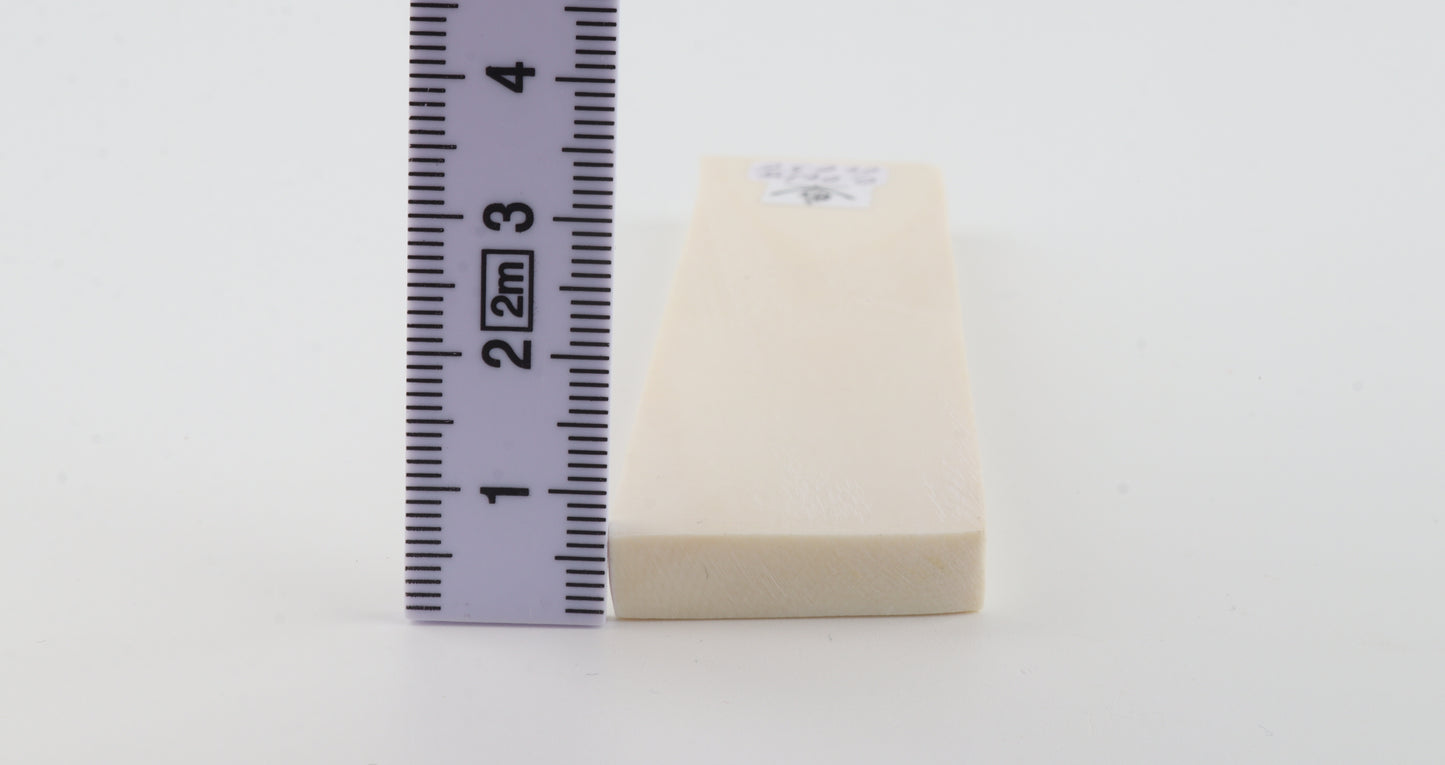 White mammoth ivory segment