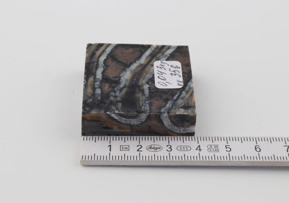 Stabilised mammoth molar piece 