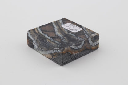 Stabilised mammoth molar piece 