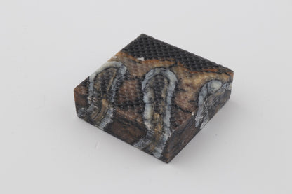 Stabilised mammoth molar piece 