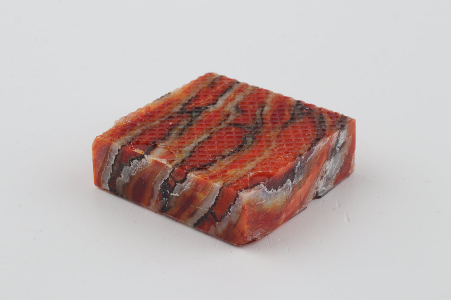 Stabilized mammoth molar piece