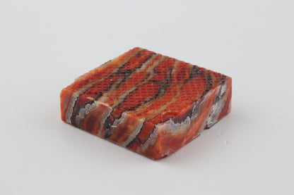 Stabilized mammoth molar piece