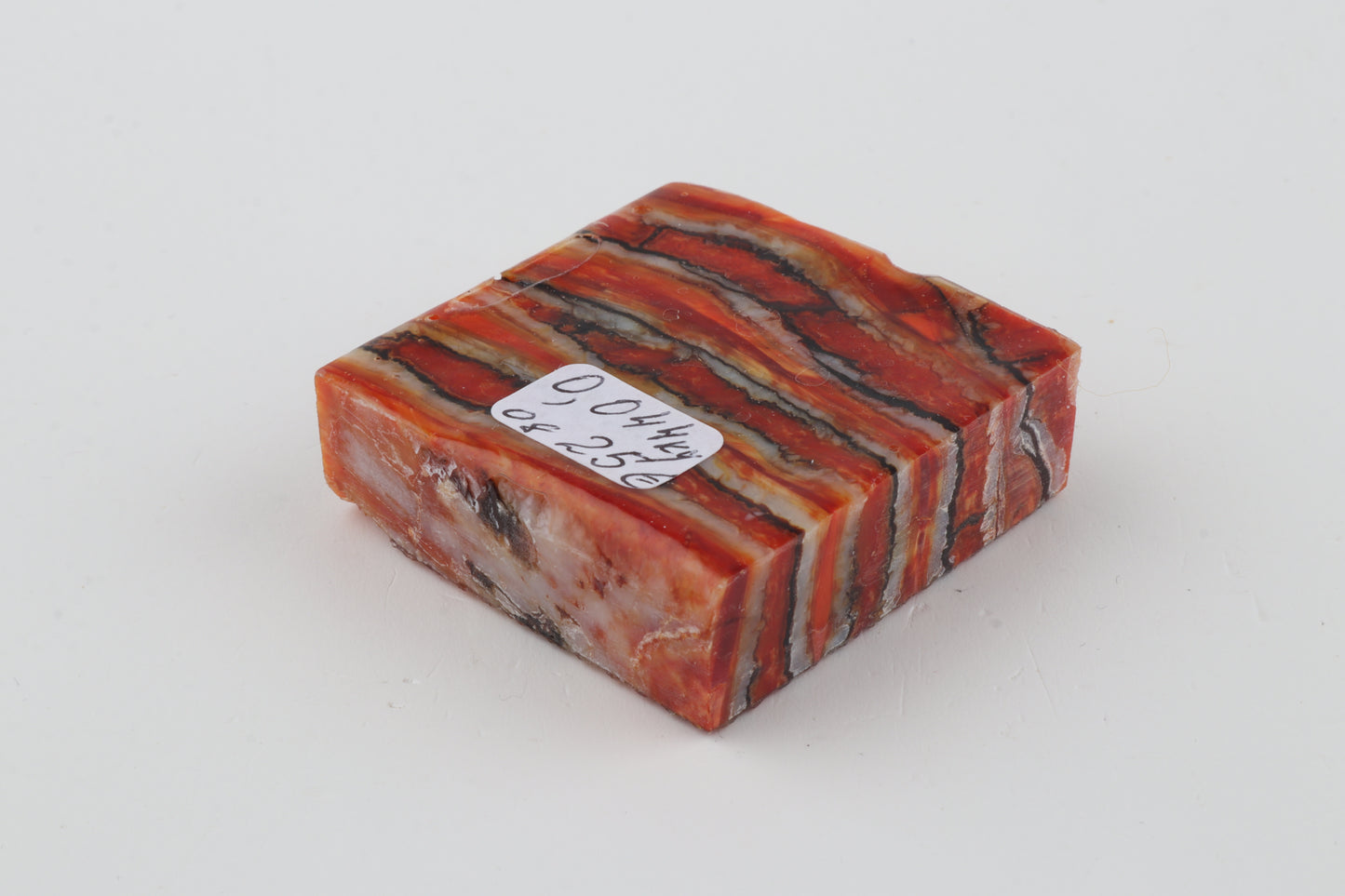 Stabilized mammoth molar piece