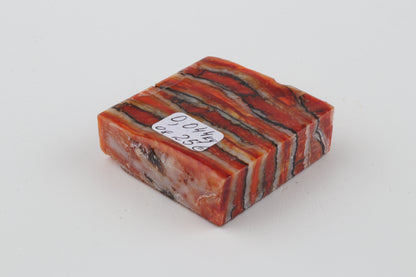 Stabilized mammoth molar piece