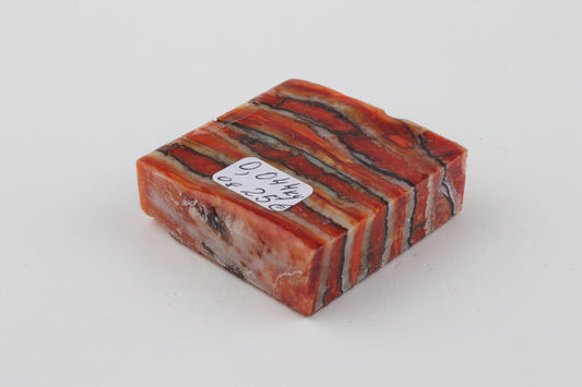 Stabilized mammoth molar piece