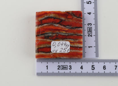 Stabilized mammoth molar piece