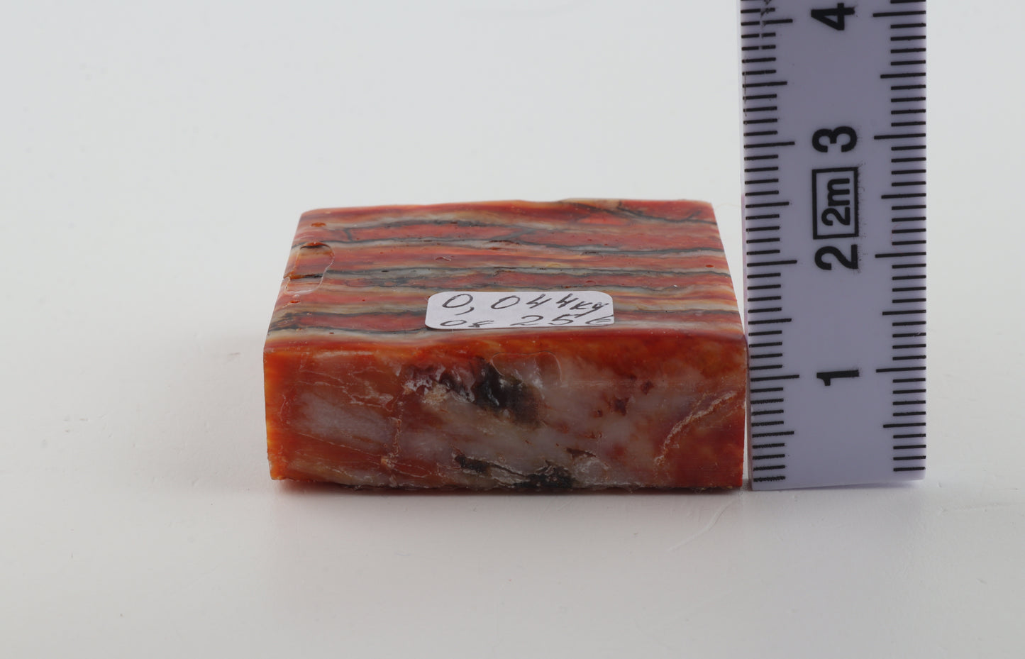 Stabilized mammoth molar piece