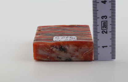 Stabilized mammoth molar piece