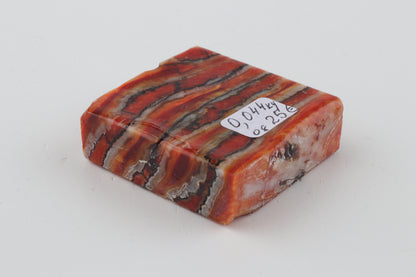 Stabilized mammoth molar piece