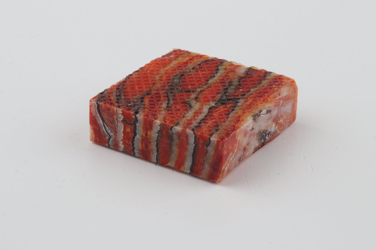 Stabilized mammoth molar piece