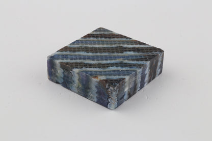 Stabilized mammoth molar piece