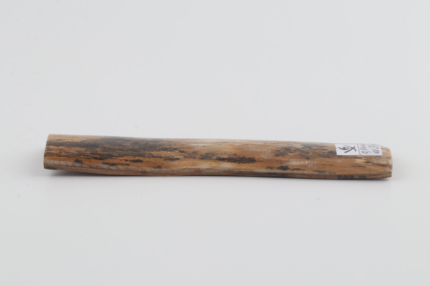Brown-amber mammoth bark