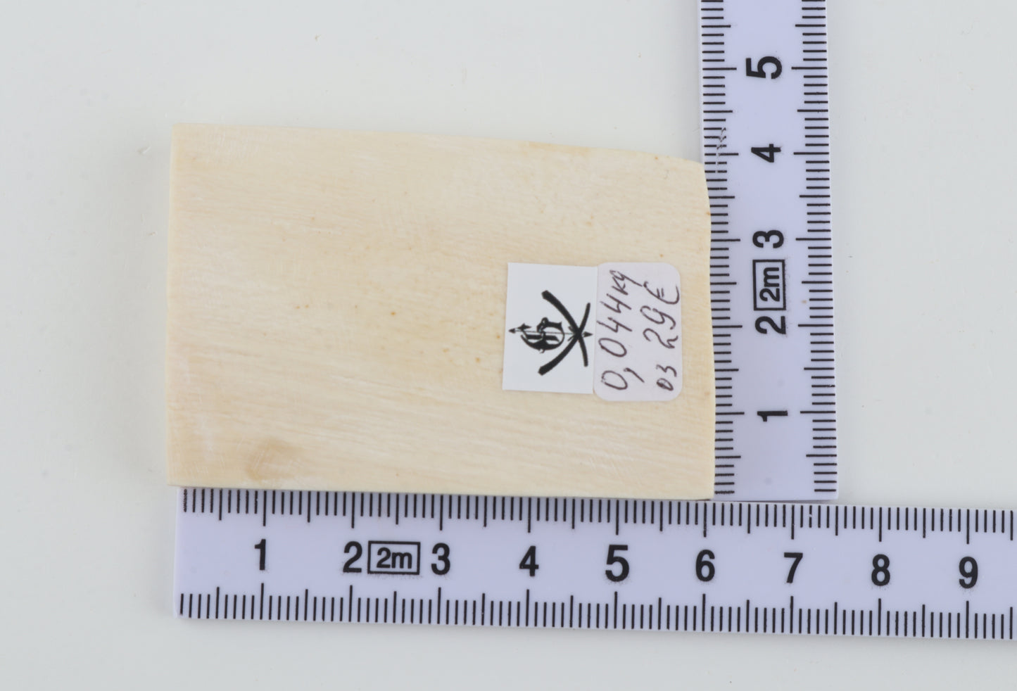 White mammoth ivory segment