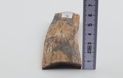 Brown-amber mammoth bark