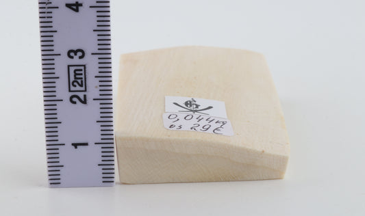 White mammoth ivory segment