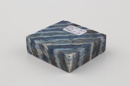 Stabilized mammoth molar piece