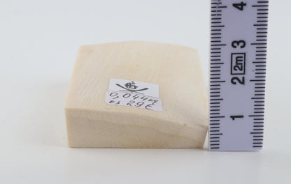 White mammoth ivory segment