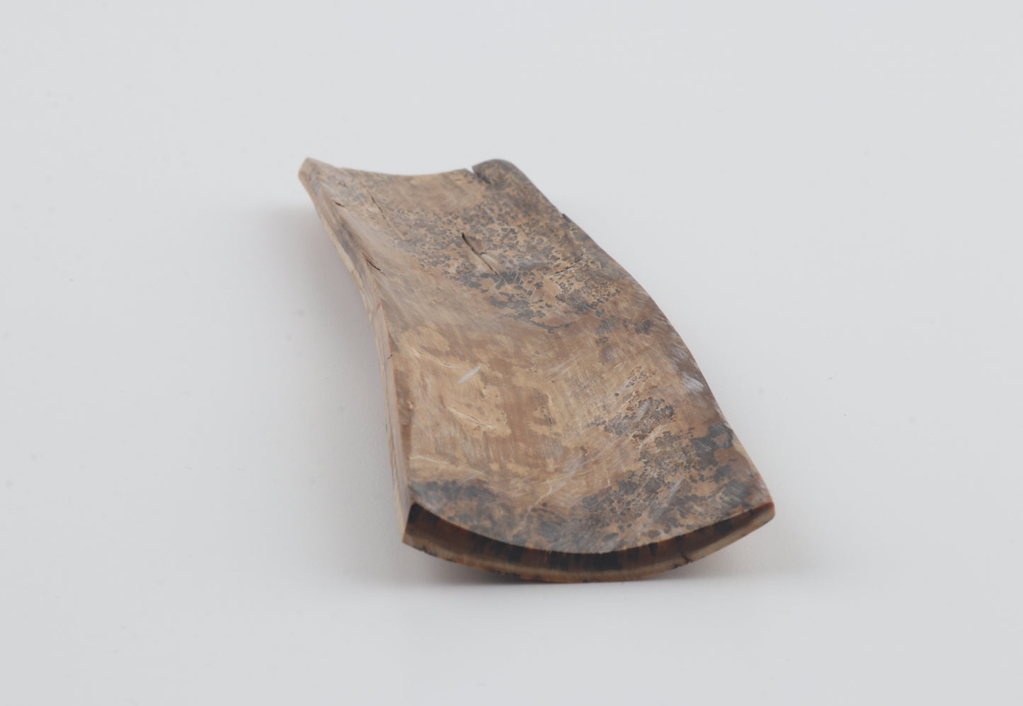 Brown-amber mammoth bark