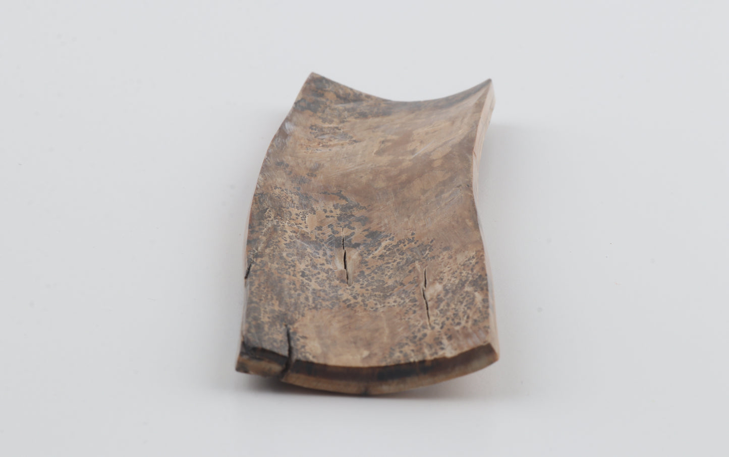 Brown-amber mammoth bark