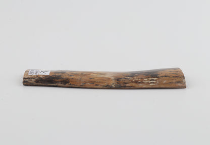 Brown-amber mammoth bark
