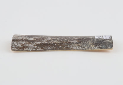 Grey mammoth bark