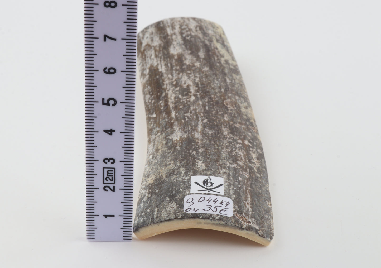 Grey mammoth bark