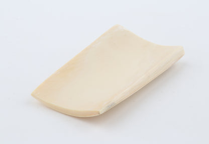 White mammoth ivory segment