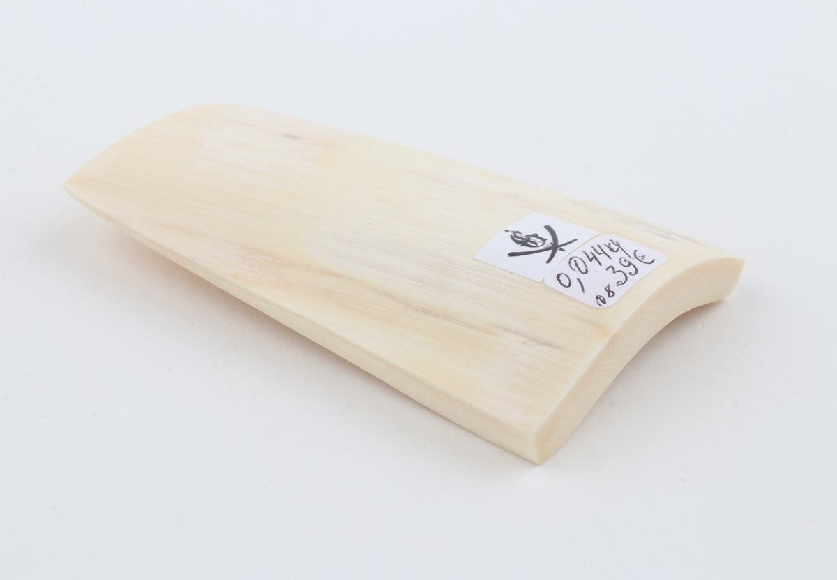 White mammoth ivory segment