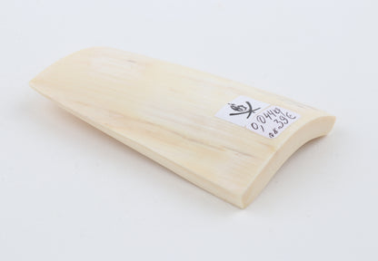 White mammoth ivory segment