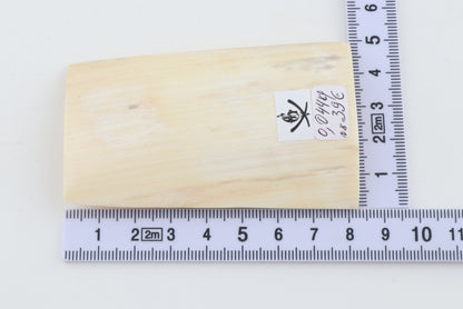 White mammoth ivory segment