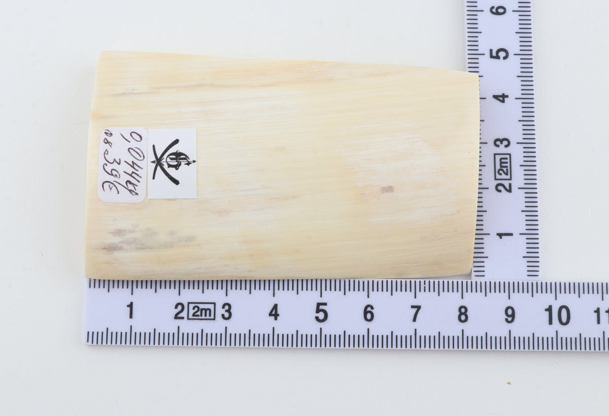 White mammoth ivory segment