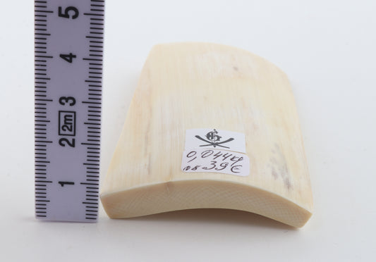 White mammoth ivory segment