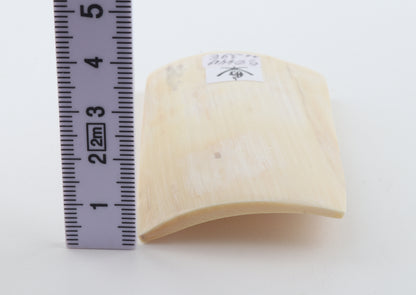 White mammoth ivory segment