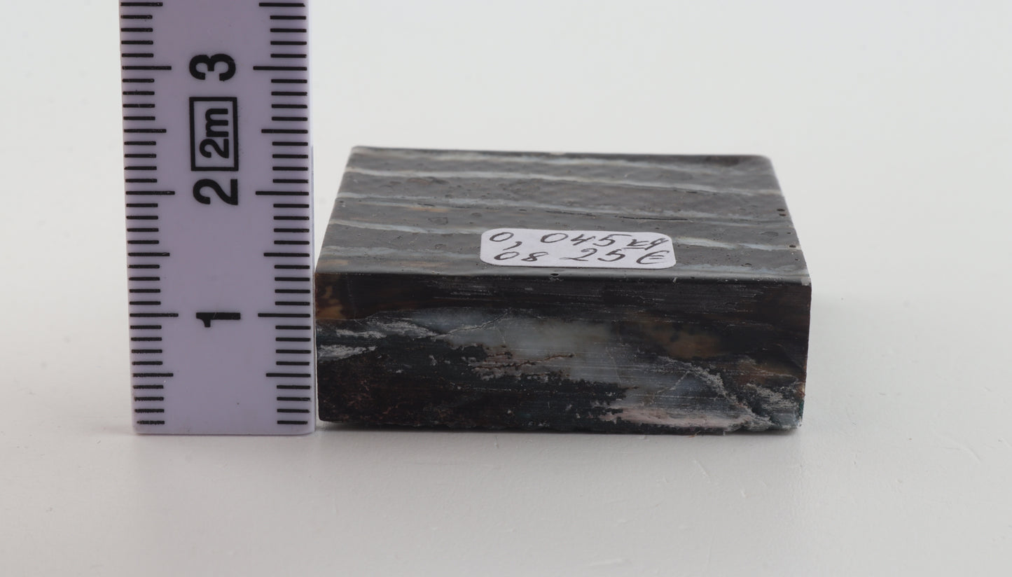 Stabilised mammoth molar block