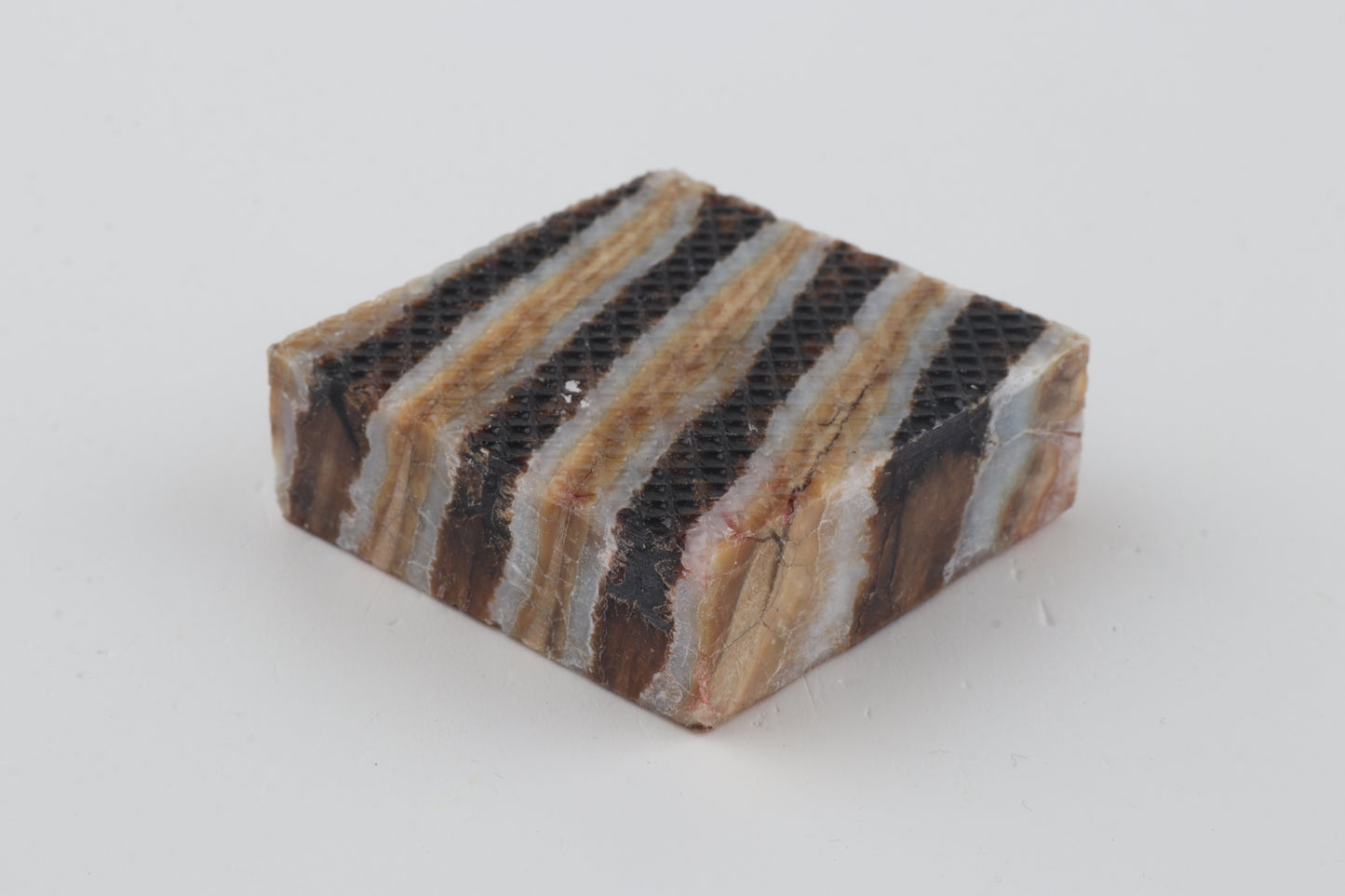 Stabilised mammoth molar piece