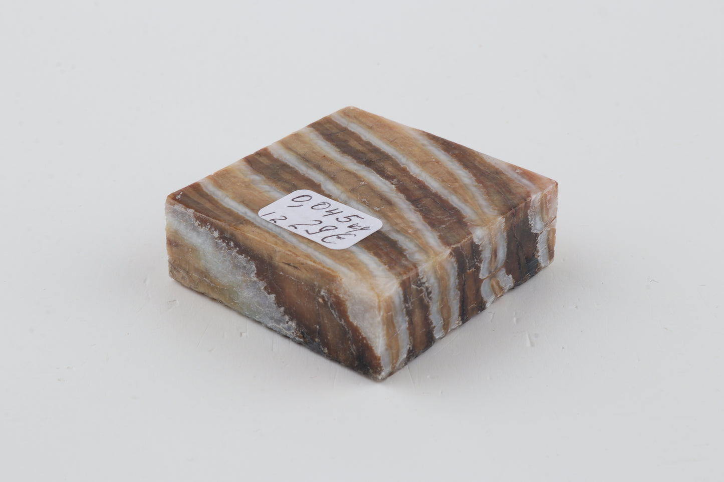 Stabilised mammoth molar piece