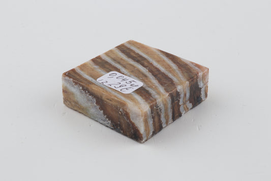 Stabilised mammoth molar piece