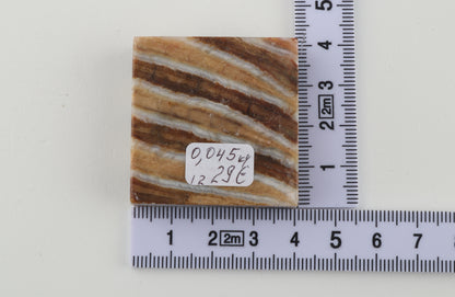 Stabilised mammoth molar piece