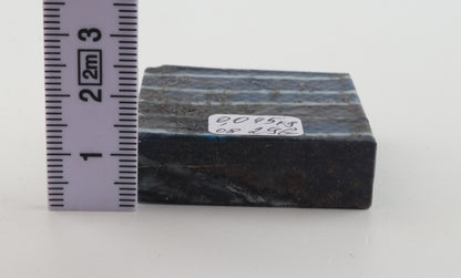 Stabilized mammoth molar piece