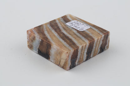 Stabilised mammoth molar piece