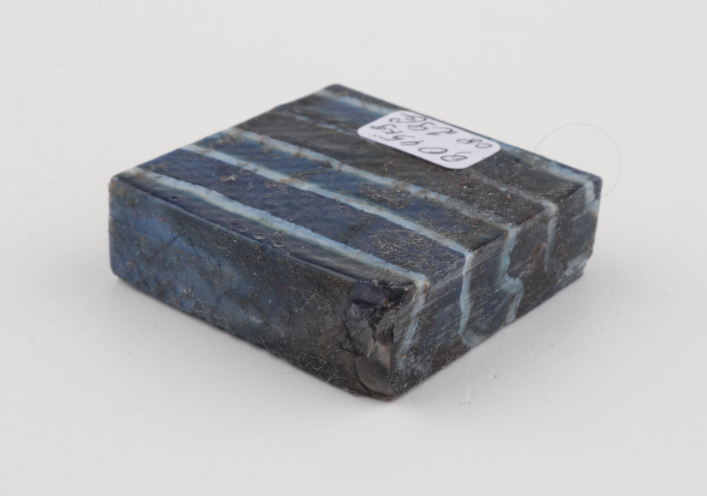 Stabilized mammoth molar piece