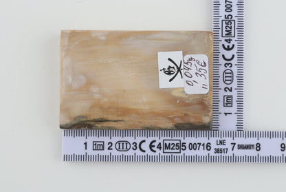 Natural mammoth ivory segment